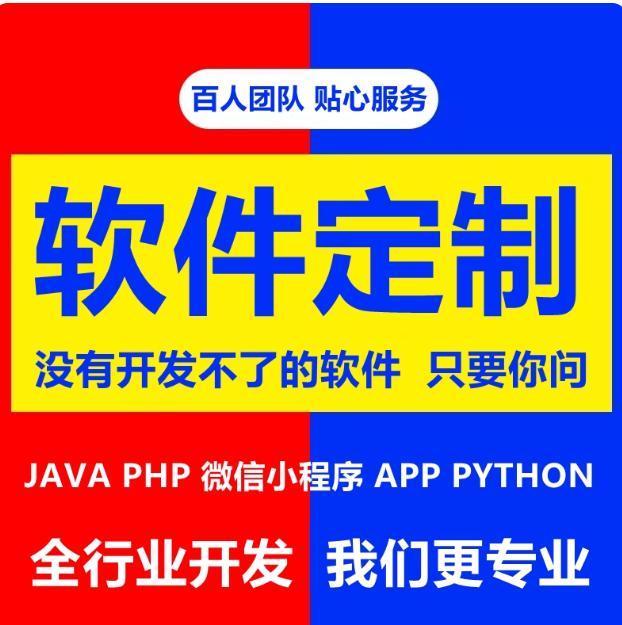 软件开发定制